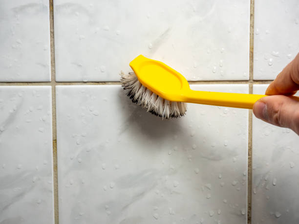 Best Office Mold Removal Services  in Ottawa, OH