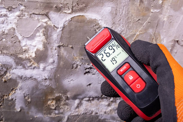 Best Mold Removal and Inspection  in Ottawa, OH