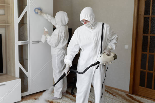 Certified Mold Removal in Ottawa, OH